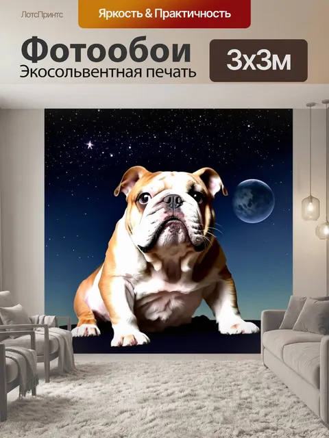 Фотообои изобразите английского бульдога, любующегося ночным небом, полным звезд