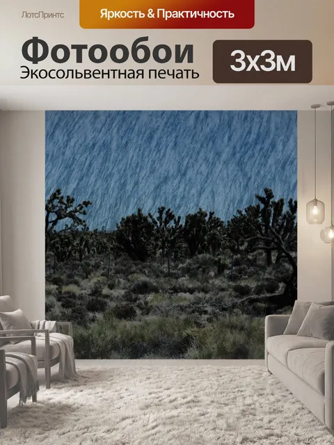 Фотообои Джошуа Три Какти