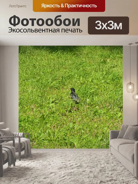 Фотообои Трава
