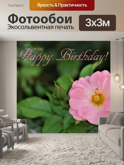 Фотообои С Днем Рождения Розовая Роза