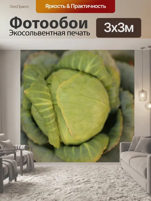 Фотообои Природа