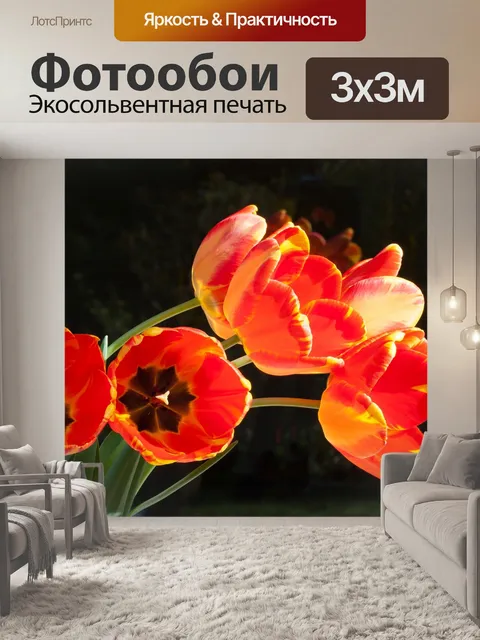 Фотообои Тюльпаны