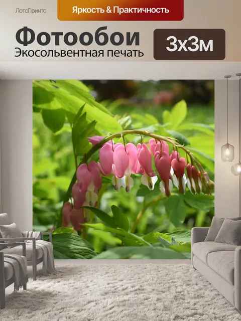 Фотообои Уайлдфлауэр