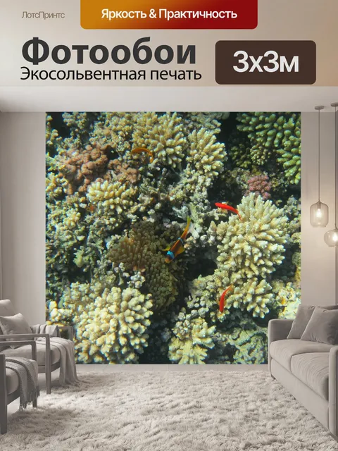 Фотообои Красное море