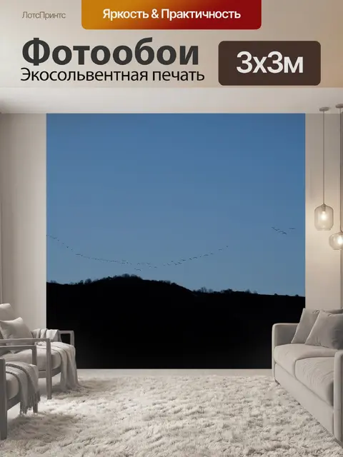 Фотообои Стая птиц