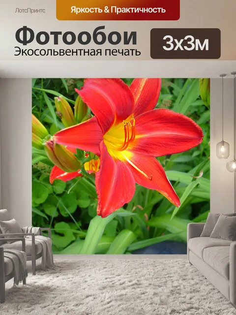 Фотообои Красный цветок