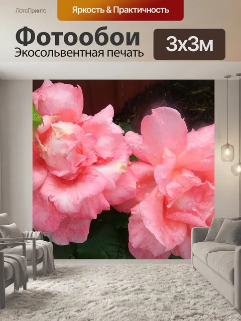 Фотообои Розовые цветы