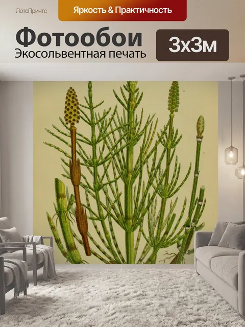 Фотообои Винтажная трава хвоща