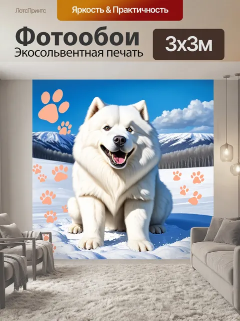 Фотообои самоед в белом снеге, окруженный следами, ведущими к его игривым зубам, показывающим улыбку