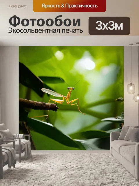 Фотообои в мирной зелени тропического леса, богомол с его почти прозрачными крыльями, сидит на ветке