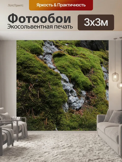 Фотообои Зеленый мох на скале