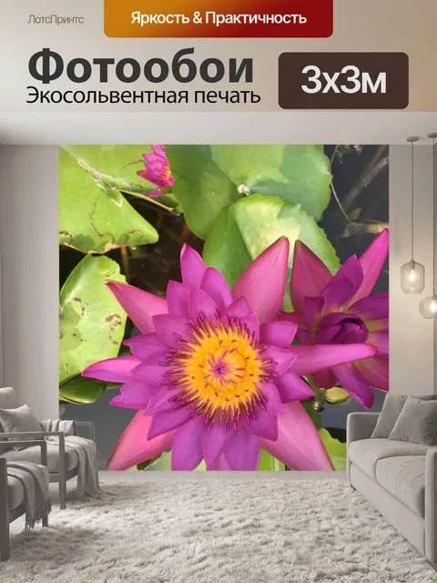 Фотообои Лилия в воде
