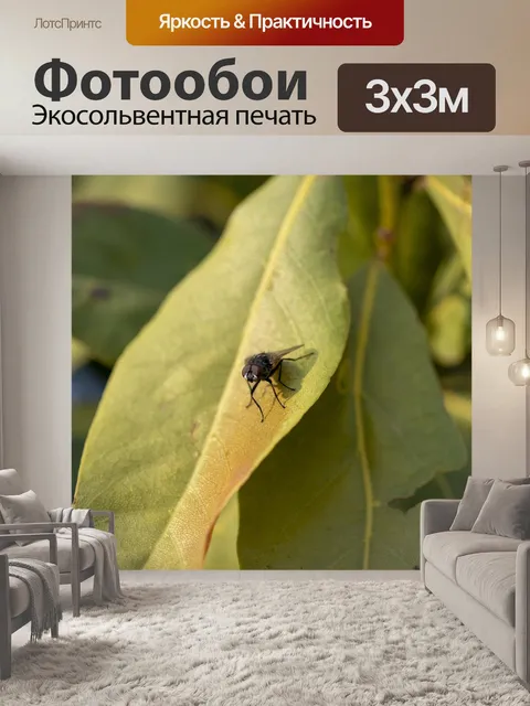 Фотообои Летать