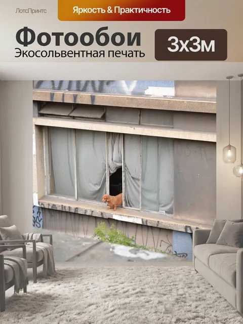 Фотообои Собака