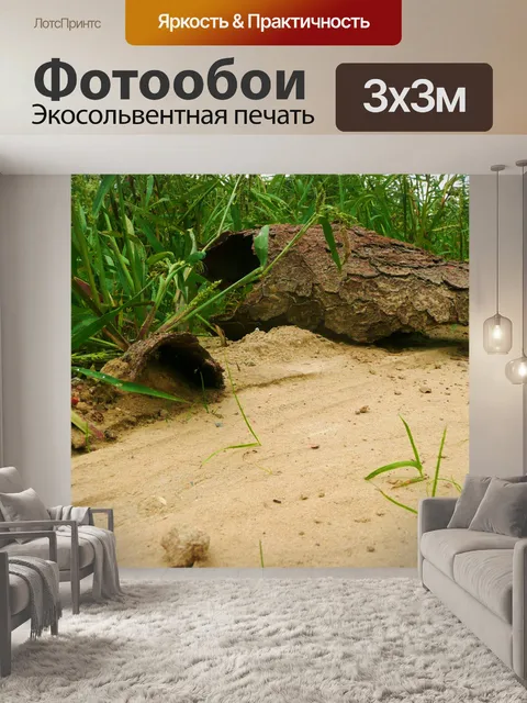 Фотообои фоне пейзажа