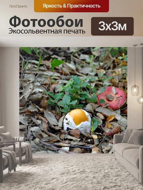 Фотообои Осень