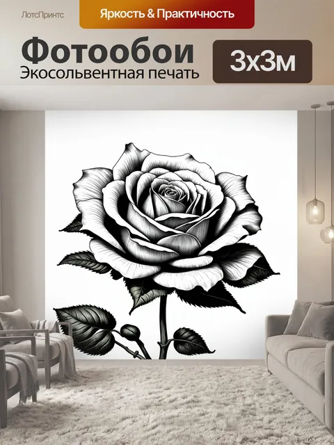 Фотообои розы в стиле рисунка карандашом, минималистский подход, акцент на одной крупной розе