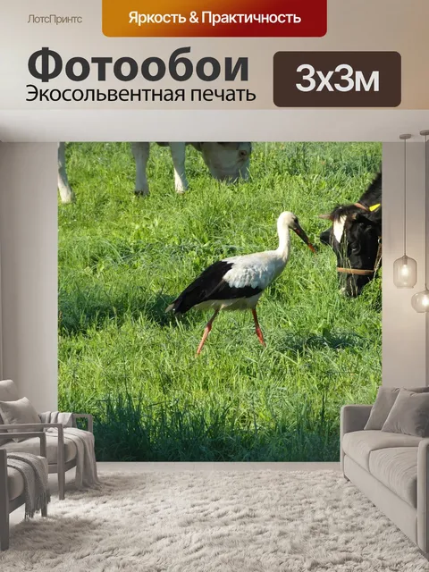 Фотообои Аист