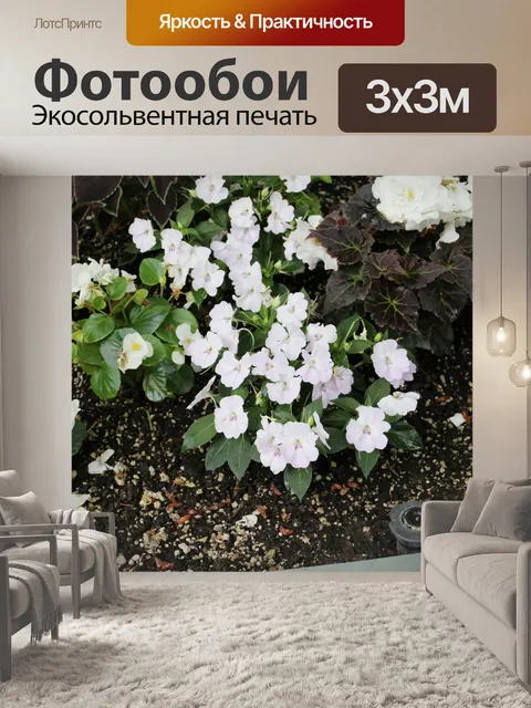 Фотообои Белые цветы 2