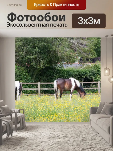 Фотообои Лошади в Лютик Луг