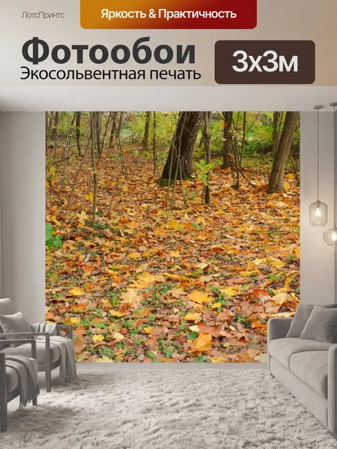 Фотообои парк, лес, осень