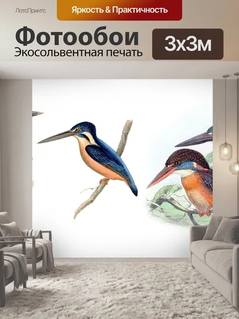 Фотообои Винтажные иллюстрации зимородка