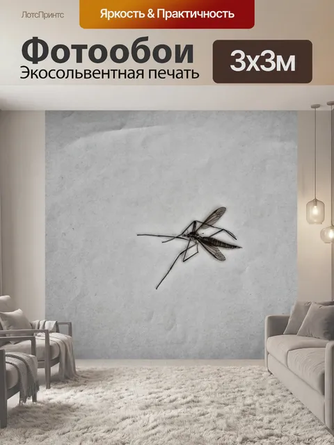 Фотообои Комар раздавил