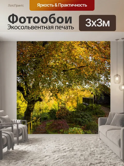 Фотообои Осеннее дерево