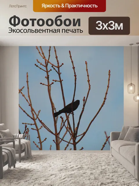 Фотообои Птица