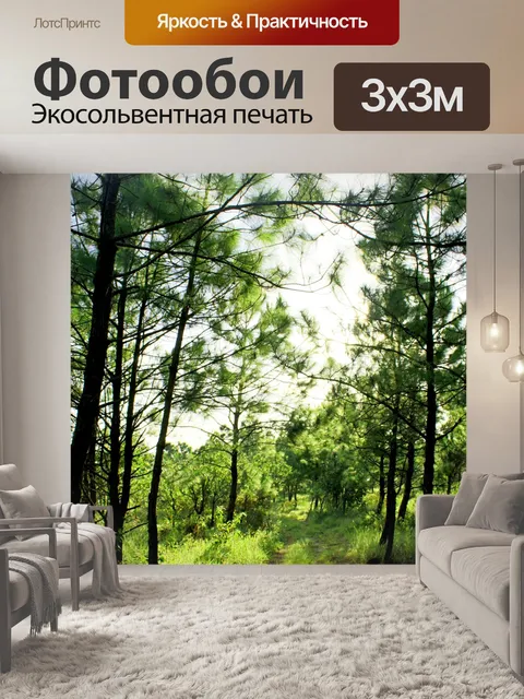 Фотообои Природа соснового леса в Фу Руа