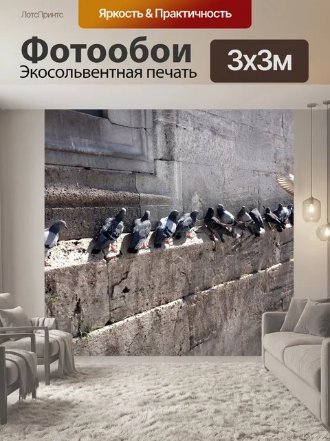 Фотообои Птица