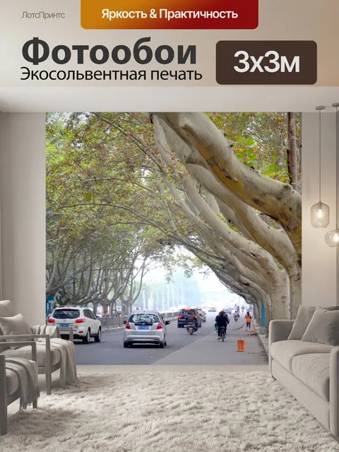 Фотообои Обсаженной деревьями улице