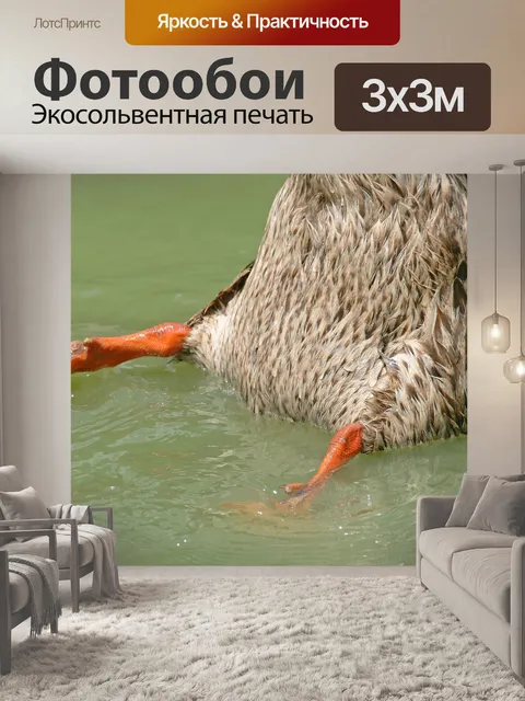 Фотообои низ вверх утка