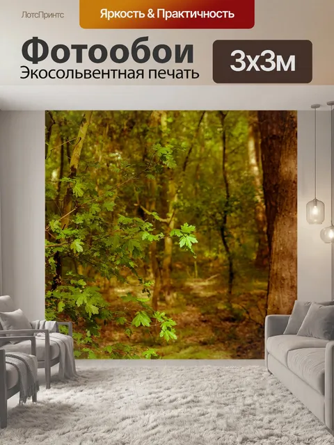 Фотообои Вид