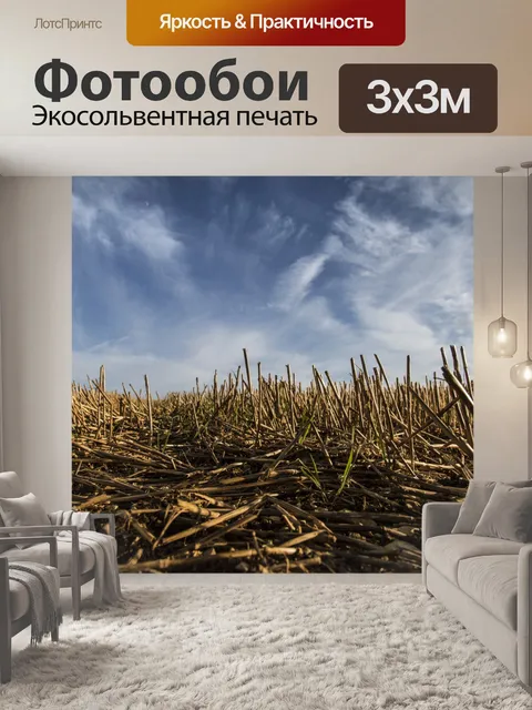 Фотообои Поле с Сенной