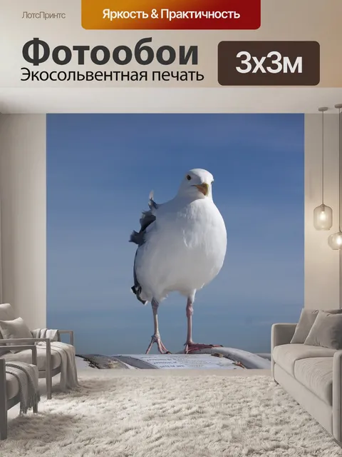 Фотообои Морская птица