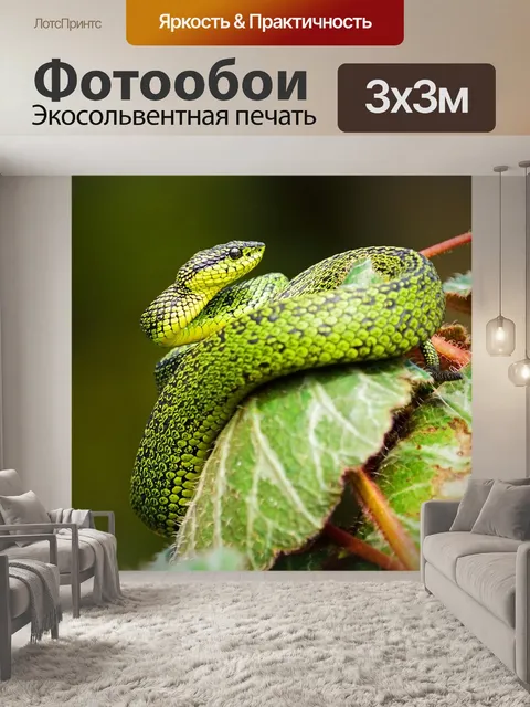 Фотообои Животное