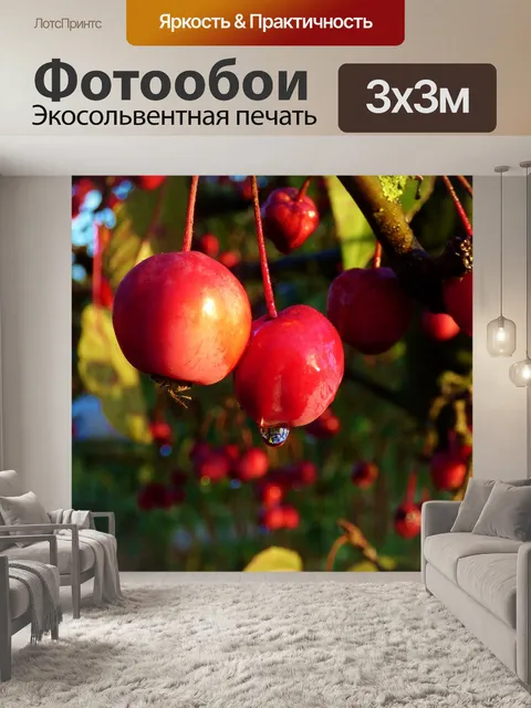 Фотообои Дикие яблоки