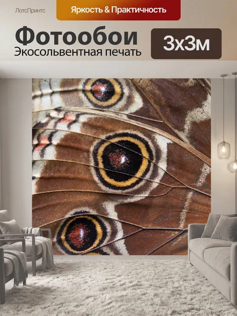 Фотообои Крыло бабочки макро
