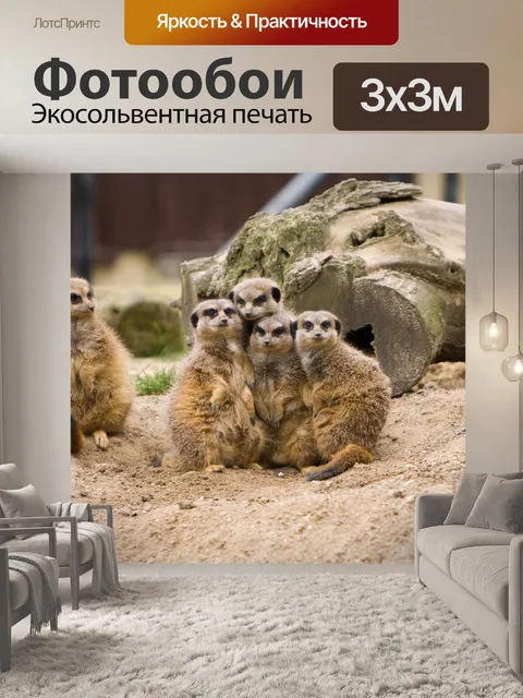 Фотообои Meerkat семьи