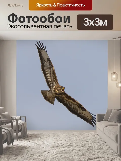 Фотообои Хищник