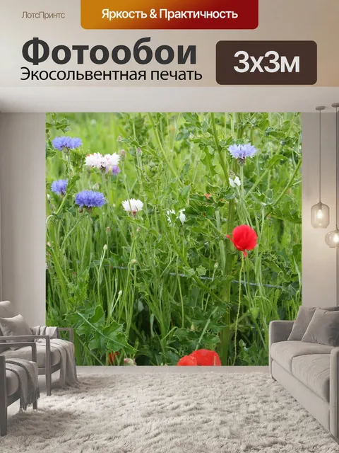Фотообои Красочные Полевые цветы Красные маки