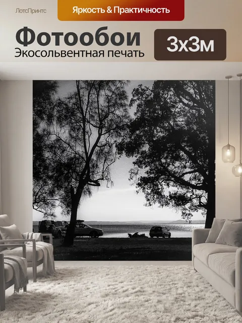 Фотообои Свет луны