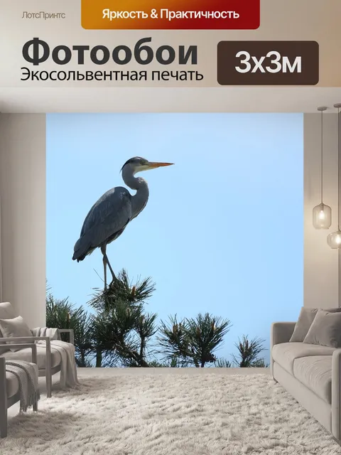 Фотообои Серая цапля