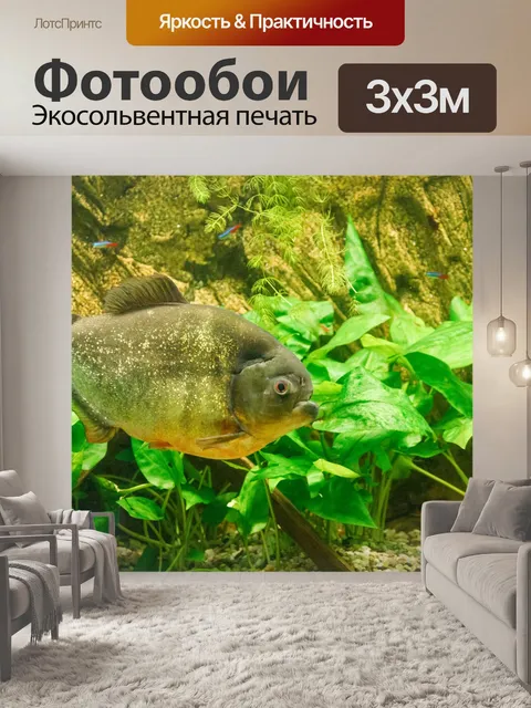 Фотообои пиранья плавание