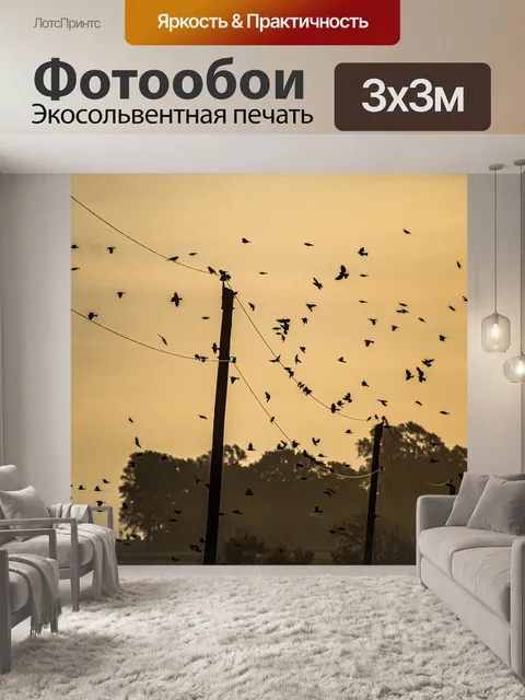 Фотообои Птицы