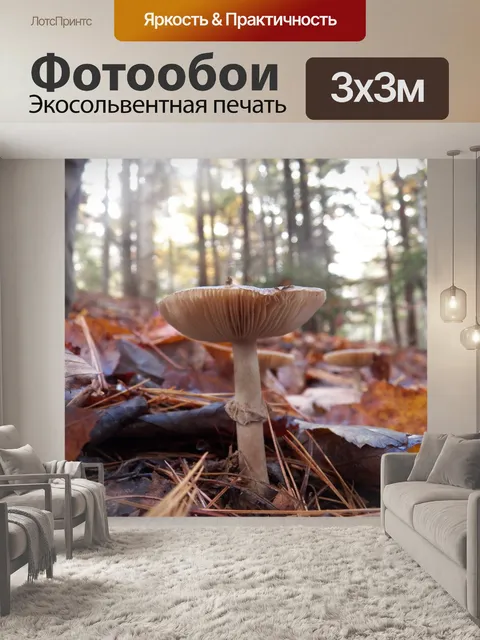Фотообои Лесных грибов