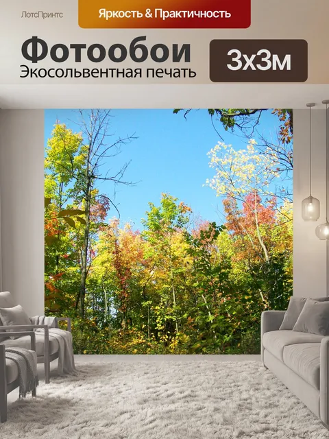 Фотообои Осенние деревья