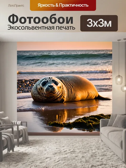 Фотообои тюлень, лежащий на берегу у моря в лучах заката, его текстурированная шкура отражает теплые оттенки солнца