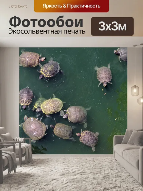 Фотообои Черепахи плавание